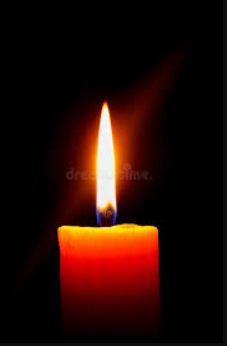 Nancy Palmer Accident Seminole County, FL Death Obituary: Remembering Nancy Palmer